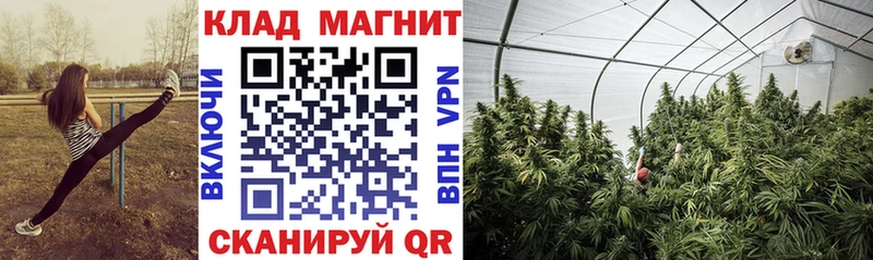 Купить закладку Псилоцибиновые грибы  СК  Меф  МАРИХУАНА  КОКАИН  ГАШ  Анива