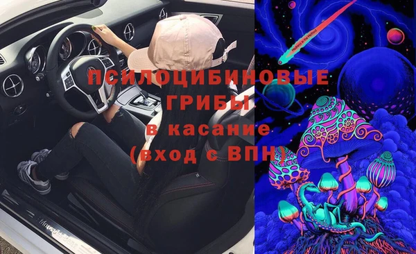 ешки Богородск