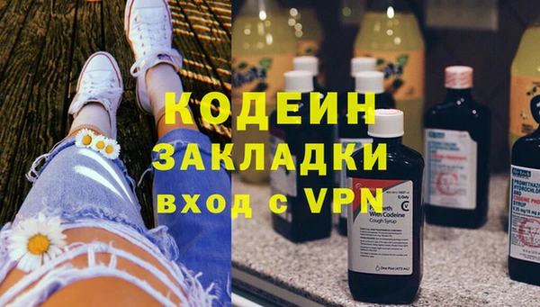гашик Кодинск