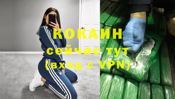 mdpv Богданович