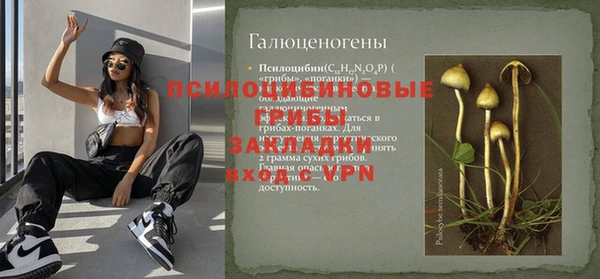 ешки Богородск