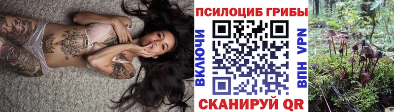 Купить где  Анива  Псилоцибиновые грибы GOLDEN TEACHER 